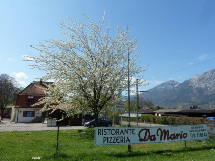 照片: Ristorante Pizzeria Da Mario